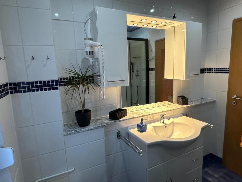 Christels Ferienwohnung 2 In Thale Mit Ueberdachter Terrasse, Kueche Mit Tv & Geschirrspueler Eksteriør bilde